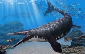 Artist's rendering of Gavialimimus almaghribensis, a newly discovered species of mosasaur that ruled the seas of what is now Morocco some 72 to 66 million years ago. Credit: Tatsuya Shinmura