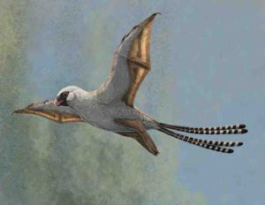 This illustration shows a reconstruction of Ambopteryx in a glide. Credit: Gabriel Ugueto