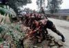 Unusually shallow earthquake ruptures in Chinese fracking field Soldiers remove bricks from the road after earthquake in Rongxian county on 25 February 2019. | Credit: IC