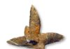 Volcanic eruptions may explain Denmark’s giant mystery crystals Photo of a glendonite. Credit: Bo Schultz