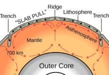 Crustal brines at an oceanic transform fault A graphic showing the convective heat cycle (red arrows) that drives plate tectonic motion (black arrows) on Earth. Heat flows toward subduction zones through the uppermost mantle layer, the asthenosphere. A computer model from Rice University finds that the asthenosphere can locally drag plates along with it rather than acting exclusively as a brake on plate movements as had been widely believed. (Image courtesy of Surachit/Wikimedia Commons)