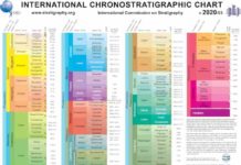 International Chronostratigraphic Chart (v2020/03) International Chronostratigraphic Chart (v2020/03)