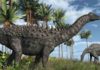 New analysis refutes claim that dinosaurs were in decline before asteroid hit Titanosaurs were common at the time of the asteroid hit at the end of the Cretaceous 66 million years ago. (Credit: AlienCat)