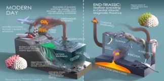 End Triassic vs Anthropocene