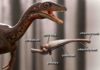 Researchers reconstruct the first complete brain of one of the oldest dinosaurs Buriolestes schultzi brain. Credit: Márcio L. Castro