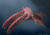 Incredible vision in ancient marine creatures drove an evolutionary arms race An artist's reconstruction of 'Anomalocaris' briggsi swimming within the twilight zone. Credit: Katrina Kenny