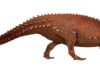 Only dinosaurs found in ireland described for the first time Illustration of the Jurassic thyreophoran Scelidosaurus harrisonii, Jack Mayer Wood, CC BY-SA 4.0, via Wikimedia Commons