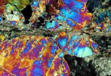Going with the grains to explain a fundamental tectonic force Mylonite is a fine-grained, compact metamorphic rock produced by dynamic recrystallization of the constituent minerals resulting in a reduction of the grain size of the rock. Credit: Wikipedia