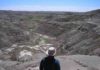 When dinosaurs disappeared, forests thrived Researcher overlooking one of the two field sites for the study, the Frenchman Valley in Chambery Coulee Saskatchewan in July 2017. Credit: McGill University