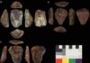 Neanderthals and Homo sapiens used identical Nubian technology Photos of Nubian Levallois cores associated with Neanderthal fossils. Credit © UCL, Institute of Archaeology & courtesy of the Penn Museum, University of Pennsylvania
