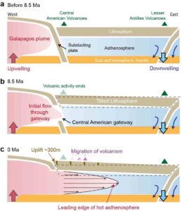 In this image, the warped amount of the surface is due to the opening of the Central American gateway that allowed hot material to flow through. (a) Before 8.5 million years ago, hot material was upwelling under the Galapagos from deep inside the Earth, but was blocked out of the Caribbean because of a curtain of subducting plate. (b) A gateway opened at 8.5 million years ago allowing the hot material to flow through. (c) Today, the hot material reaches midway between Central America and the Lesser Antilles, tilting up the bottom of the Caribbean sea by about 300 m (1,000 ft). Credit: University of Houston