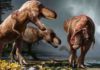 Over approximately 2.5 million years, North America likely hosted 2.5 billion Tyrannosaurus rexes, a minuscule proportion of which have been dug up and studied by paleontologists, according to a UC Berkeley study. (Image by Julius Csotonyi, courtesy of Science magazine)