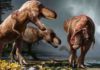 How many T. rexes were there? Billions Over approximately 2.5 million years, North America likely hosted 2.5 billion Tyrannosaurus rexes, a minuscule proportion of which have been dug up and studied by paleontologists, according to a UC Berkeley study. (Image by Julius Csotonyi, courtesy of Science magazine)