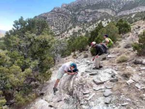 From left, University of Wyoming students Shane Scoggin, Adam Trzinski and Jessie Shields are part of new research investigating crustal melting in western North America. Here, they examine igneous rocks in the Snake Range of Nevada. Credit: Jay Chapman