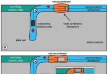 Discovery of new geologic process calls for changes to plate tectonic cycle Elements of a newly discovered process in plate tectonics include a mass (rock slab weight), a pulley (trench), a dashpot (microcontinent), and a string (oceanic plate) that connects these elements to each other. In the initial state, the microcontinent drifts towards the subduction zone (Figure a). The microcontinent then extends during its journey to the subduction trench owing to the tensional force applied by the pull of the rock slab pull across the subduction zone (Figure b). Finally, the microcontinent accretes to the overriding plate and resists subduction due to its low density, causing the down-going slab to break off (Figure c). Credit: Erkan Gün/University of Toronto