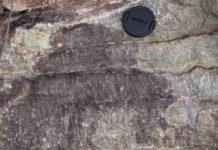 New research uncovers continental crust emerged 500 million years earlier than thought A close-up image of bladed barite crystals in the Mapepe Formation in the Barberton Greenstone Belt of South Africa. Credit: Desiree Roerdink