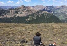 Yellowstone National Park is hotter than ever Karen Heeter overlooks Yellowstone from Republic Pass on a tree coring excursion in July 2018. Credit: Grant L. Harley