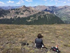 Karen Heeter overlooks Yellowstone from Republic Pass on a tree coring excursion in July 2018. Credit: Grant L. Harley