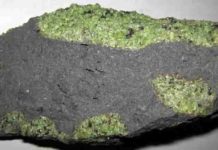 Chunks of exotic green rocks from the mantle erupted from the San Carlos Volcanic Field, Arizona. Credit: James St John