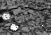 A rock with many perspectives The Alum Shale, here an example of a coastal deposit, consists of quartz and potassium Feldspar clasts as well as conspicuous Pyrite crystals (here: white) embedded in a clayey matrix. Scanning electron micrograph (scale: lower image edge length corresponds to approx. 40 μm). Credit: Schulz, GFZ