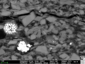 The Alum Shale, here an example of a coastal deposit, consists of quartz and potassium Feldspar clasts as well as conspicuous Pyrite crystals (here: white) embedded in a clayey matrix. Scanning electron micrograph (scale: lower image edge length corresponds to approx. 40 μm). Credit: Schulz, GFZ