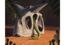 Modern snakes evolved from a few survivors of dino-killing asteroid The extinction of their competitors allowed snakes to move into new niches and diversify enormously (Credit: Joschua Knüppe).