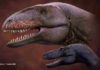 Who was king before Tyrannosaurus? Uzbek fossil reveals new top dino University of Tsukuba researchers have described a new apex predator from the lower Upper Cretaceous of Central Asia, Ulughbegsaurus uzbekistanensis, which coexisted with a smaller tyrannosauroid