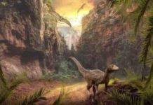 Ecological changes following intense volcanic activity 230 million years ago paved the way for dinosaur dominance