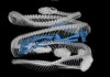 Mammals on the menu: Snake dietary diversity exploded after mass extinction 66 million years ago CT scan of a cat-eyed snake (Leptodeira septentrionalis) reveals a frog (blue skeleton) in its digestive tract. Snake specimen from U-M's Museum of Zoology. Image credit: Ramon Nagesan, University of Michigan Museum of Zoology.