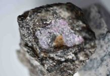 Some of the world’s oldest rubies linked to early life