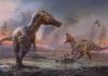 Two new species of large predatory dinosaur discovered on Isle of Wight, UK Image: Artists impression of newly identified species Credit: Anthony Hutchings