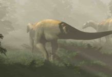 ‘Raptor-like’ dinosaur discovered in Australian mine, actually uncovered as a timid vegetarian Life reconstruction of herbivorous dinosaurs based on 220-million-year-old fossil footprints from Ipswich, Queensland, Australia. (Image credit: Anthony Romilio)