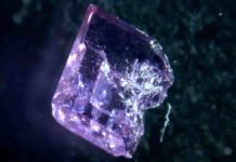 Bacteria may be key to sustainably extracting earth elements for tech A lab-grown crystal of a synthetic form of the rare earth mineral, monazite, shows extensive damage to one face after exposure to bio-leaching compound generated by Gluconobacter oxydans. Credit: Credit: Brian Balta/Provided