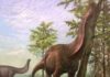Sauropod dinosaurs were restricted to warmer regions of Earth Original artwork from scientific illustrator Emiliano Troco depicting a Brontosaurus (likely the most famous sauropod dinosaur) acting as an ecosystem engineer in a warm and vegetated landscape not dissimilar to modern-day savannah type biomes.