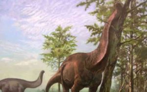 Original artwork from scientific illustrator Emiliano Troco depicting a Brontosaurus (likely the most famous sauropod dinosaur) acting as an ecosystem engineer in a warm and vegetated landscape not dissimilar to modern-day savannah type biomes. 