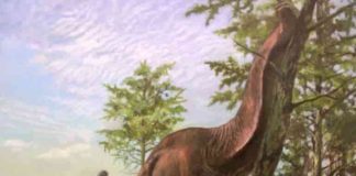 Original artwork from scientific illustrator Emiliano Troco depicting a Brontosaurus (likely the most famous sauropod dinosaur) acting as an ecosystem engineer in a warm and vegetated landscape not dissimilar to modern-day savannah type biomes.