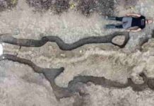 The World’s Largest Sea Dragon Unearthed in The UK Paleontologist Dean Lomax with the fossilized ichthyosaur. (Matthew Power Photography/Anglian Water)