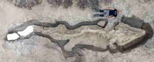 Paleontologist Dean Lomax with the fossilized ichthyosaur. (Matthew Power Photography/Anglian Water)