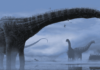 First evidence indicating dinosaur respiratory infection Researchers discover first evidence indicating dinosaur respiratory infection
