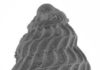 A 250-million-year-old fossil of a marine snail shell in pristine condition. The shell was one of the thousands examined in the study. Scale bar = 100 µm. Credit: William Foster et al.