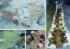 Large new titanosaurian dinosaur from the Pyrenees Images of different fossil remains of Abditosaurus kuehnei at the Orcau-1 site (a), the excavation process (b and c) and the neck after fossil preparation (d).