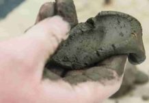 Like diamonds, clay soils are forever Clay soil sticks together. Photo by Lynn Ketchum.
