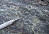 Mineral dating reveals new clues about important tectonic process Minerals are visible in rock samples from the coast of Oman. Scientists said these rocks may reveal new information about subduction, an important tectonic process on Earth. Credit: Joshua Garber / Penn State.