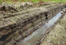 New analysis of tsunami deposits paints a clearer picture of Sanriku’s past Traces of paleotsunami at the lowland of the Ube River, Noda Village. The Sanriku Coast has been hit by tsunamis throughout its history, leaving behind tsunami deposits. Credit: Tohoku University