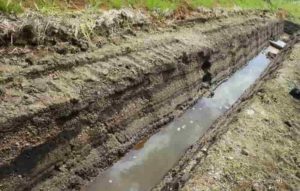 Traces of paleotsunami at the lowland of the Ube River, Noda Village. The Sanriku Coast has been hit by tsunamis throughout its history, leaving behind tsunami deposits. Credit: Tohoku University