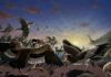 New fossil birds discovered near China’s Great Wall – one had a movable, sensitive ‘chin’ Illustration by Cindy Joli, Julio Francisco Garza Lorenzo, and René Dávila Rodríguez.