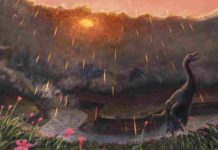 The reign of the dinosaurs ended in spring Evidence suggests an asteroid impact that killed off most dinosaurs might have happened in spring. Credit: Joschua Knüppe