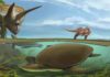 Newly identified softshell turtle lived alongside T. rex and Triceratops An imagined scene from the end of the Cretaceous Period, more than 66 million years ago, has the newly identified softshell turtle Hutchemys walkerorum dwelling alongside iconic species from the Age of the Dinosaurs. (Image: Sergey Krasovskiy)