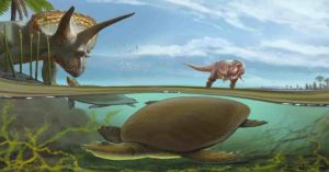 An imagined scene from the end of the Cretaceous Period, more than 66 million years ago, has the newly identified softshell turtle Hutchemys walkerorum dwelling alongside iconic species from the Age of the Dinosaurs. (Image: Sergey Krasovskiy) 