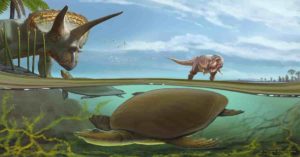 An imagined scene from the end of the Cretaceous Period, more than 66 million years ago, has the newly identified softshell turtle Hutchemys walkerorum dwelling alongside iconic species from the Age of the Dinosaurs. (Image: Sergey Krasovskiy)